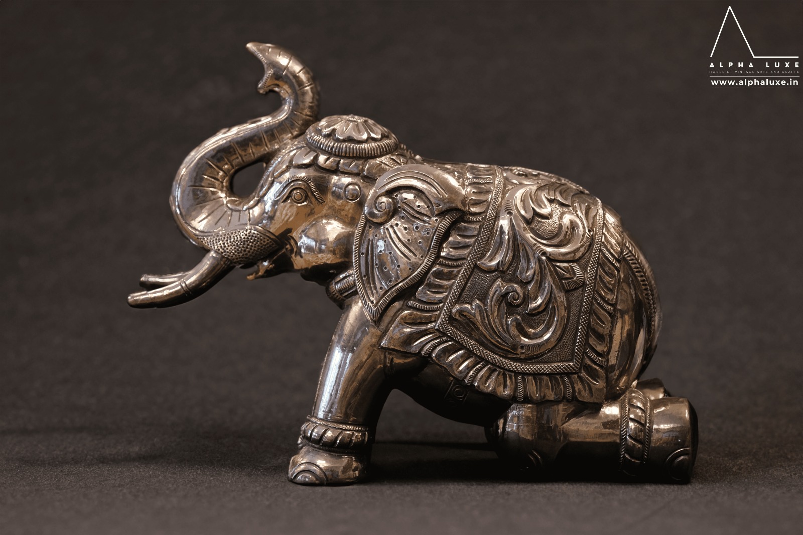 WhatsApp Image 2023-10-21 at 11.50.00 AM (33).jpeg